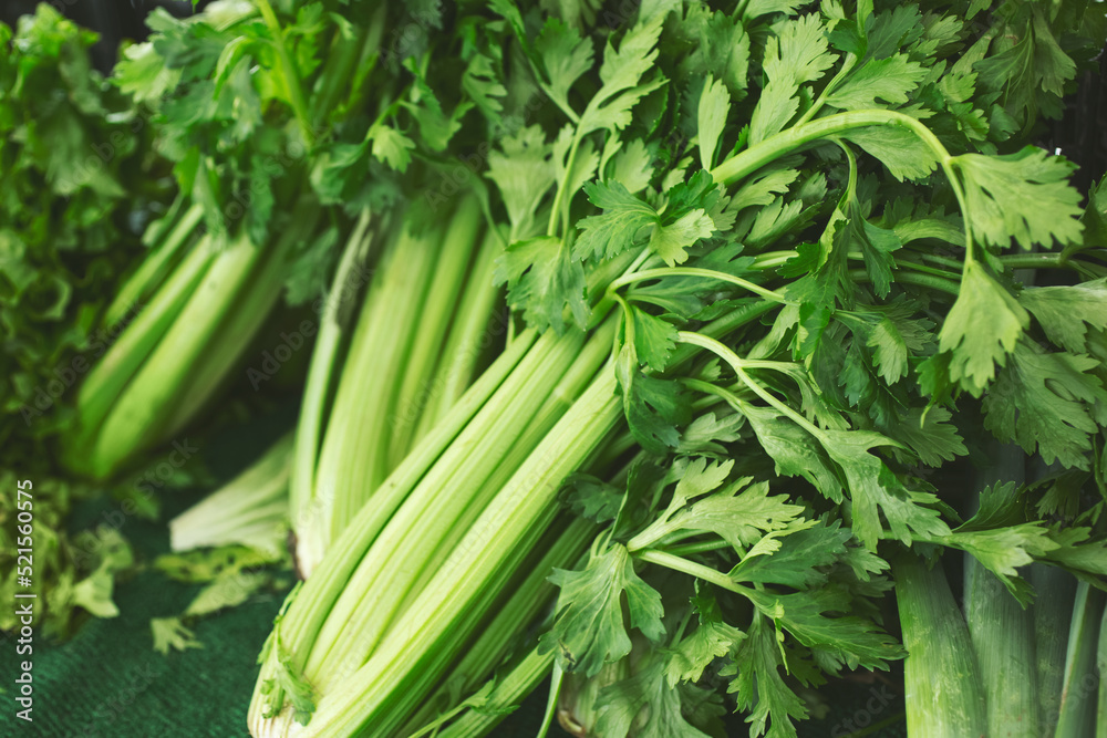 A view of several stalks of celery, on display at a local farmers market. A view of several stalks of celery, on display at a local farmers market.