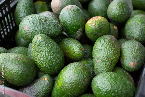 A view of a crate full of almost ripe avocados, on display at a vendor tent at a local farmers market.