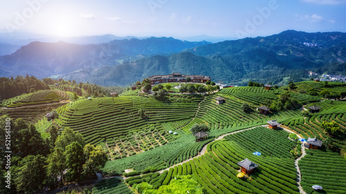 Canvas Print Aerial photography of Sanjiang Buyang Xianren alpine ecological tea fields