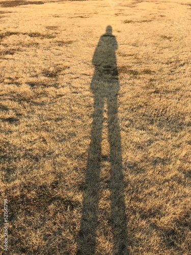 冬の夕陽