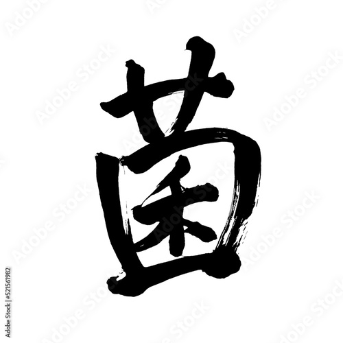 Japan calligraphy art【fungus】 日本の書道アート【菌・きん・キン】 This is Japanese kanji 日本の漢字です