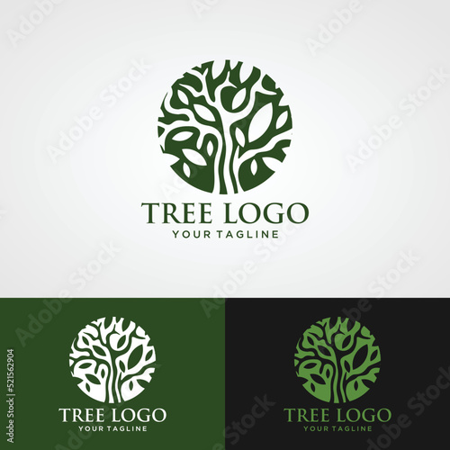 Abstract vibrant tree logo design, root vector - Tree of life logo design inspiration isolated on white background.