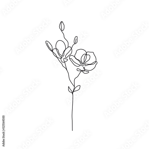 Continuous Line Drawing Of Plant Black Sketch of Flowers Isolated on White Background. Flowers One Line Illustration. Minimalist Botanical Art Design. Vector EPS 10.