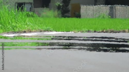 道路の逃げ水　夏の暑い日　アスファルト