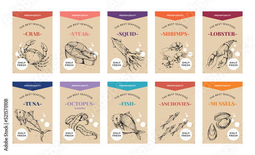 Seafood labels. Vintage food sketch. Marine lobster. Retro shrimp. Badge design of mackerel and squid. Salmon fish steak. Engraving packaging stickers set. Vector illustration background