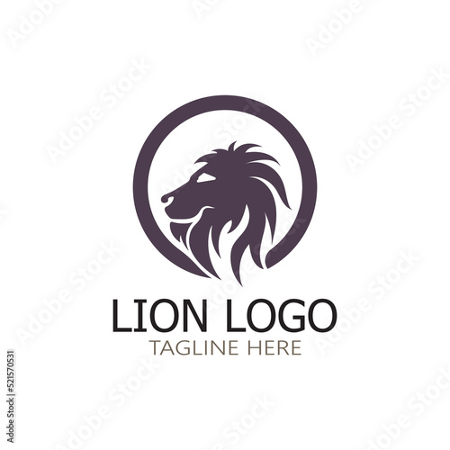 Lion King logo vector illustration design.gold lion king head sign concept isolated black background