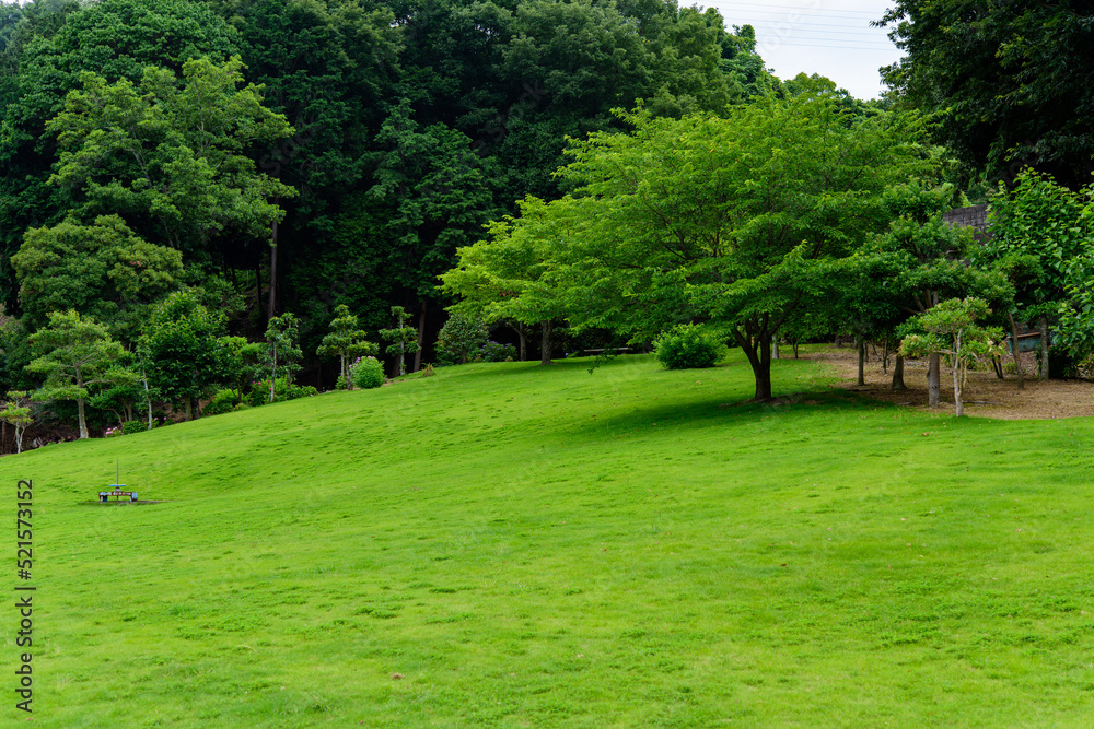 香川県丸亀市のやすらぎ公園、綺麗な芝生 香川県丸亀市のやすらぎ公園、綺麗な芝生