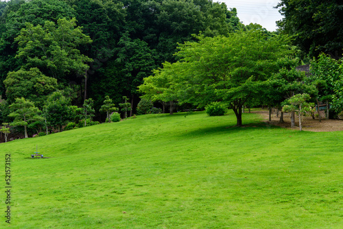 香川県丸亀市のやすらぎ公園、綺麗な芝生 © Ryolemon