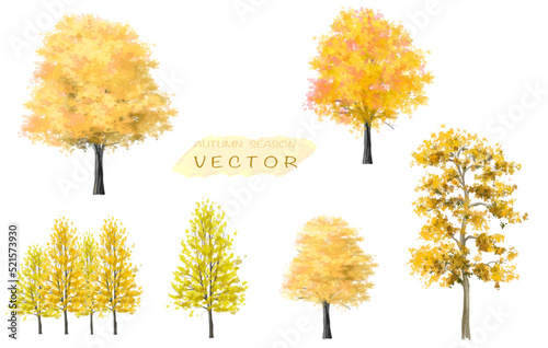 Vector autumn trees collection,watercolor blooming flower tree or forest side view isolated on white background for landscape and decorative ,elements for environment or and garden,botanical garden 