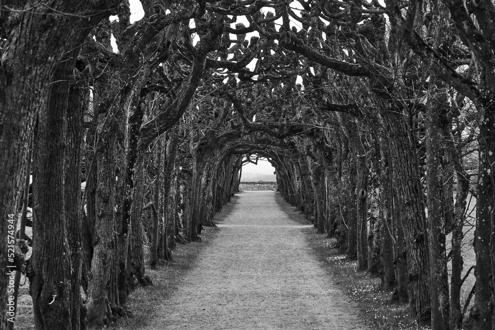 Fototapeta premium The Gate
