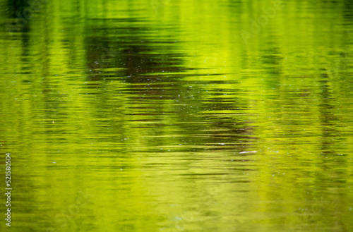 The green expanse of water on the reservoir as an abstract background.