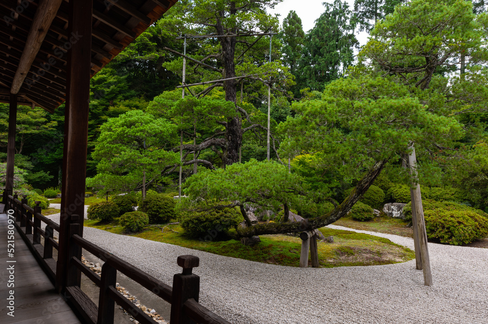 夏の日の日本庭園