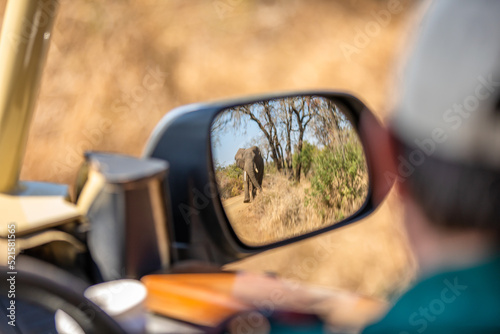 Blurry picture in the mirror of a male elephant, bull ( Loxodonta africana) on the move, Hluhluwe – imfolozi Game Reserve, South Africa.