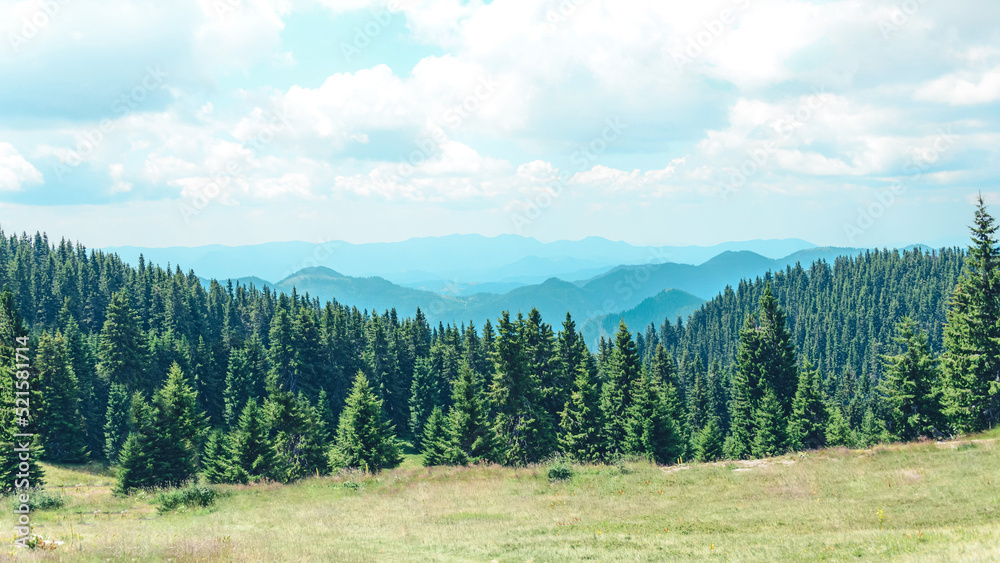 Mountain view at the pine forest covered hills.