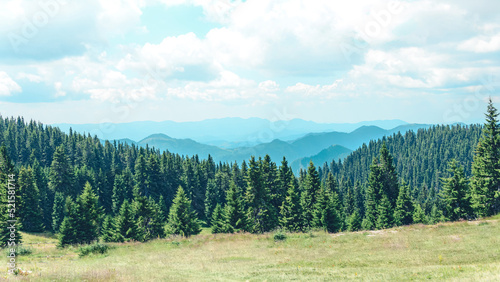 Obraz na płótnie Mountain view at the pine forest covered hills. w salonie