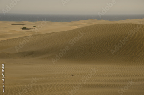 View of the Maspalomas Dunes. Special Natural Reserve of the Maspalomas Dunes. San Bartolome de Tirajana. Gran Canaria. Canary Islands. Spain.