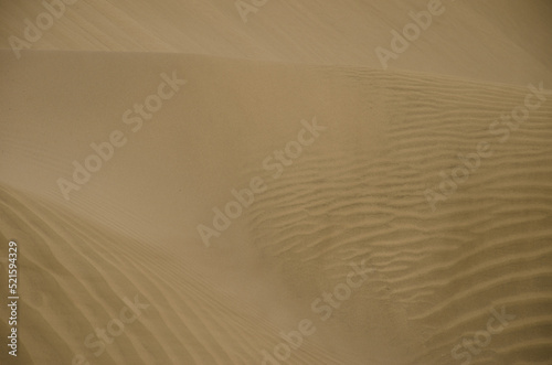 Sand dunes in the Special Natural Reserve of the Maspalomas Dunes. San Bartolome de Tirajana. Gran Canaria. Canary Islands. Spain. © Víctor