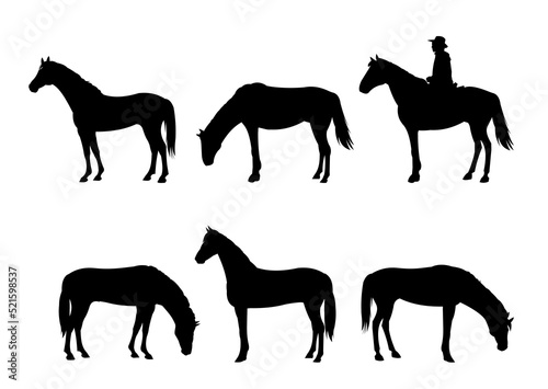 Set of shepherd grazes horses in pasture. Picture silhouette. Farm pets. Animals domestic traditional. Isolated on white background. Vector