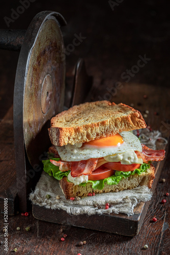Tasty and homemade toasted sandwich made of fresh indiegrends. photo