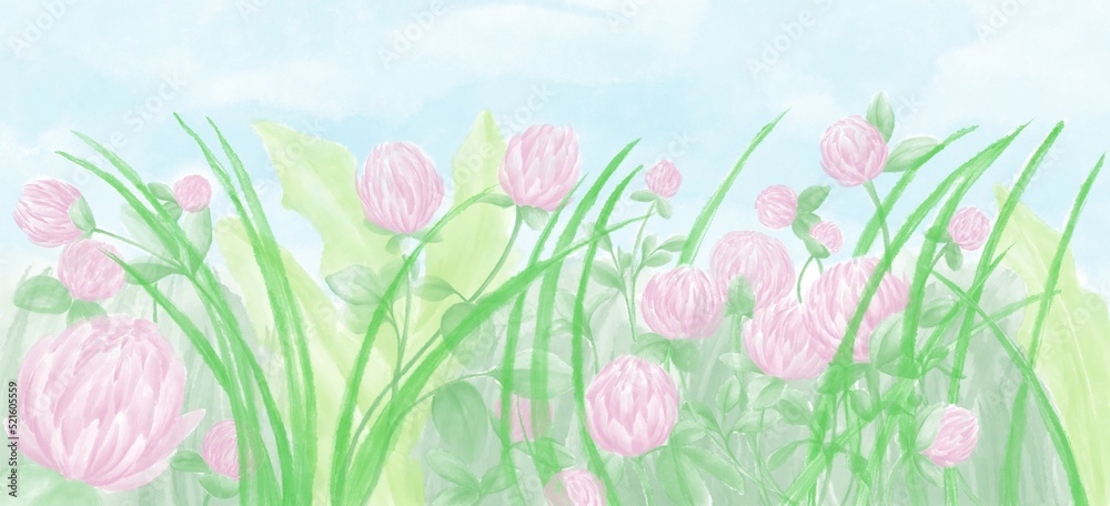 Watercolor panoramic illustration, pink clover flowers in fresh meadow grass