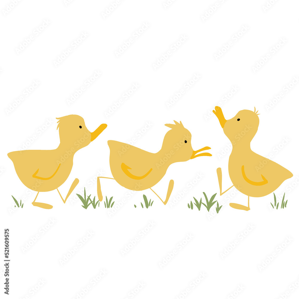 Little ducks Little ducks
