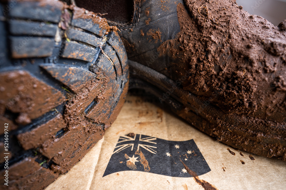 Muddy boots on a farm in Australia. Dirty shoes covered in dirt and foot and mouth disease. Bio security to stop contaminated footwear and clothes spreading disease in cows Muddy boots on a farm in Australia. Dirty shoes covered in dirt and foot and mouth disease. Bio security to stop contaminated footwear and clothes spreading disease in cows
