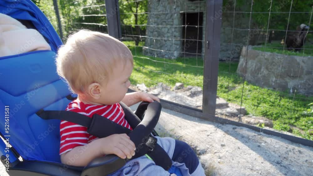 Mother and child at the zoo, 1.5 year old toddler in baby stroller looks at predator birds Mother and child at the zoo, 1.5 year old toddler in baby stroller looks at predator birds