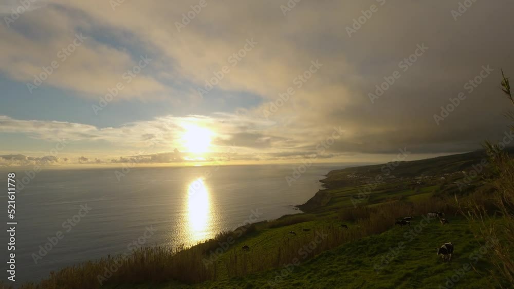 Sunset timelapse with a view of the coast and cows in the pasture. Green cliffs on the coast of the Azores, Portugal. Sunset timelapse with a view of the coast and cows in the pasture. Green cliffs on the coast of the Azores, Portugal.