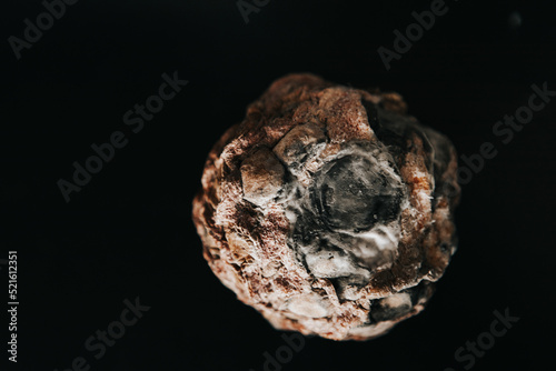 pumpkin covered with mold on a black background