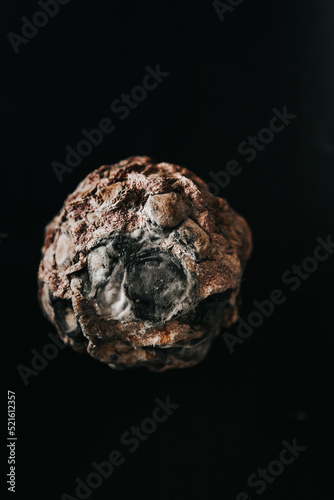 pumpkin covered with mold on a black background