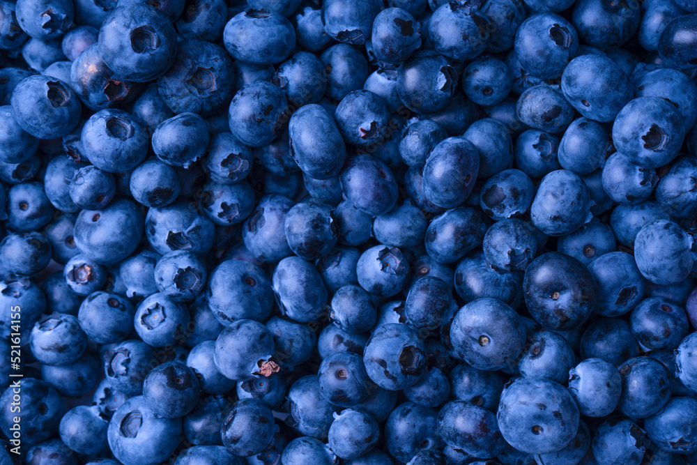 Fresh blueberry background. Texture blueberry berries close up. Fresh blueberry background. Texture blueberry berries close up.