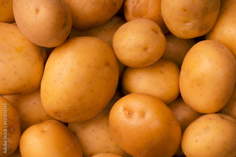 A group of fresh tasty potato as background. A group of fresh tasty potato as background.
