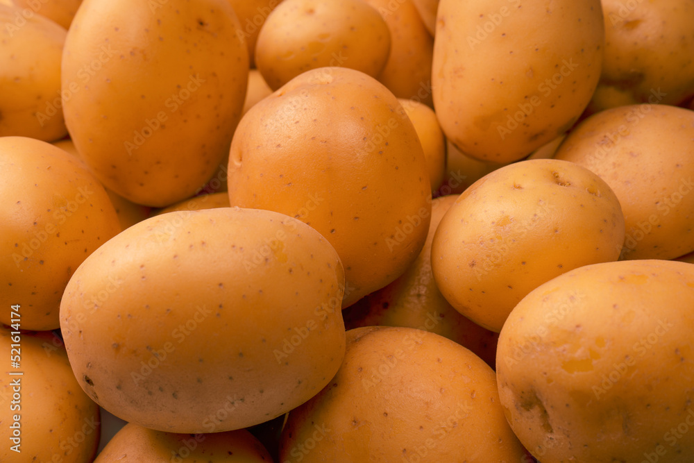 A group of fresh tasty potato as background. A group of fresh tasty potato as background.