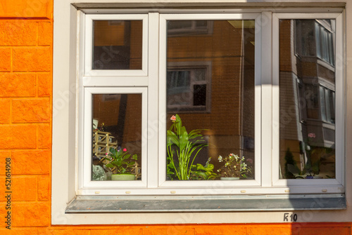 Flowers are visible in the window of the house