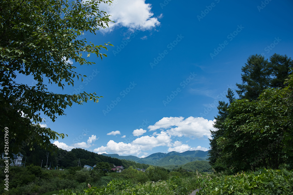 夏山風景1 夏山風景1
