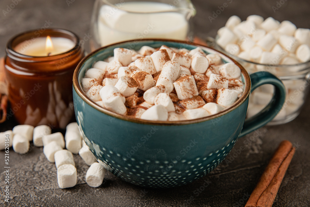 Cup of tasty cocoa drink and marshmallows in blue cup.Spices and marshmallows for winter drinks on black texture table.Winter hot drink.Hot chocolate with marshmallow and spices.Copy space. Cup of tasty cocoa drink and marshmallows in blue cup.Spices and marshmallows for winter drinks on black texture table.Winter hot drink.Hot chocolate with marshmallow and spices.Copy space.