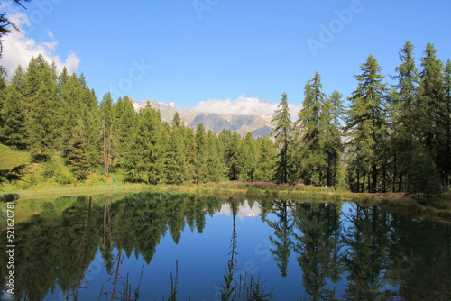 The wonderful Hermes Lake in summer with larch tree forest, hautes alpes, french alps
