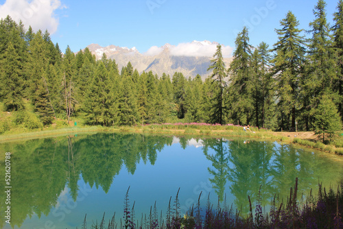 Fototapeta Naklejka Na Ścianę i Meble -  The wonderful Hermes Lake in summer with larch tree forest, hautes alpes, french alps