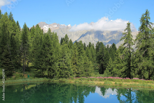 The wonderful Hermes Lake in summer with larch tree forest, hautes alpes, french alps © Picturereflex