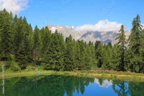 The wonderful Hermes Lake in summer with larch tree forest, hautes alpes, french alps