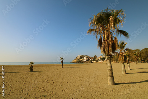 Playa con palmeras y casas al fondo. Playa de Bolnuevo,   en Mazarrón (Murcia, España).