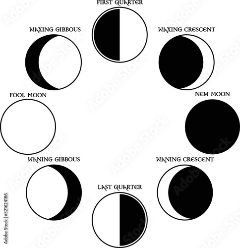 Vector illustration of moon phases isolated on transparent background.
Astrology and making a horoscope.