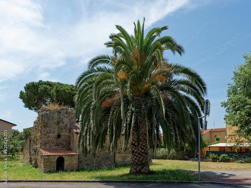 Italien - Toskana - Venturina - Mausoleo Romano di Caldana Italien - Toskana - Venturina - Mausoleo Romano di Caldana