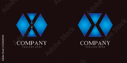 Modern hexagonal logo set of letter X. Two beautiful gradient logo designs for personal and company branding. EPS10.