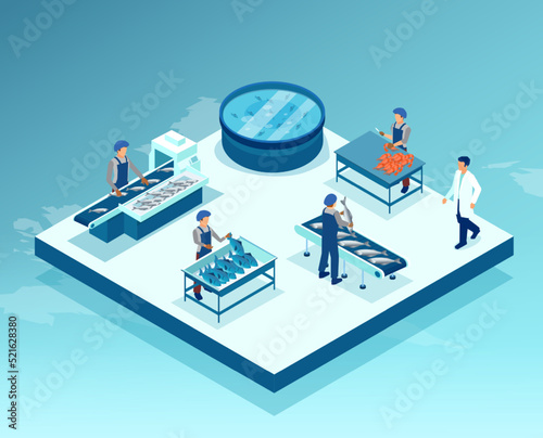 vector of a fish industry, seafood production, sorting fish concept