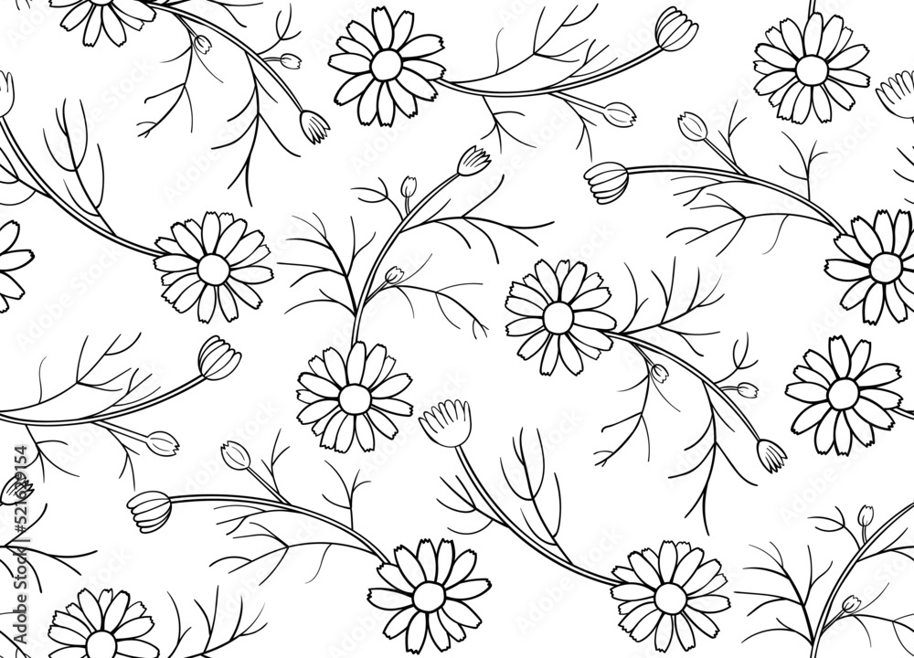Daisy Seamless Pattern. Black contour on white background. Simple vector illustration
