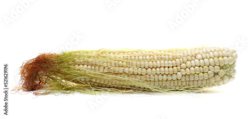 Cob of corn with green leaves isolated on white