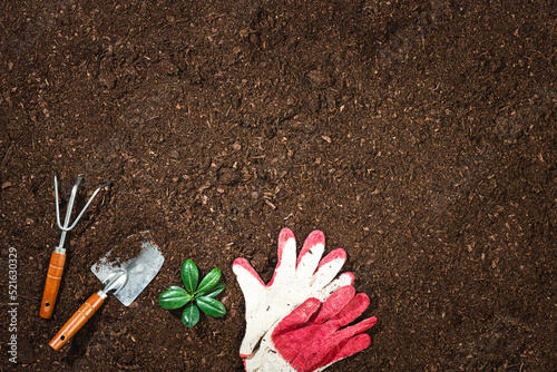 Tablou pe pânză Gardening tools on fertile soil texture background seen from above, top view