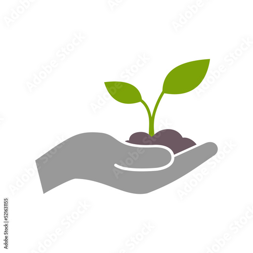 hand holding a plant