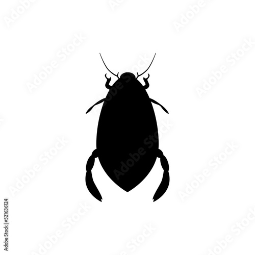 Black silhouette of water beetle. Predatory large swimmer living and hunting in aquatic environment. Snack with high content of natural vector protein
